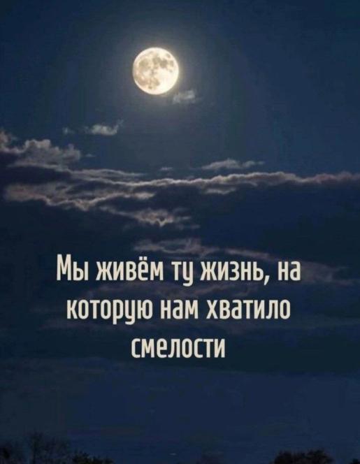 journal-306